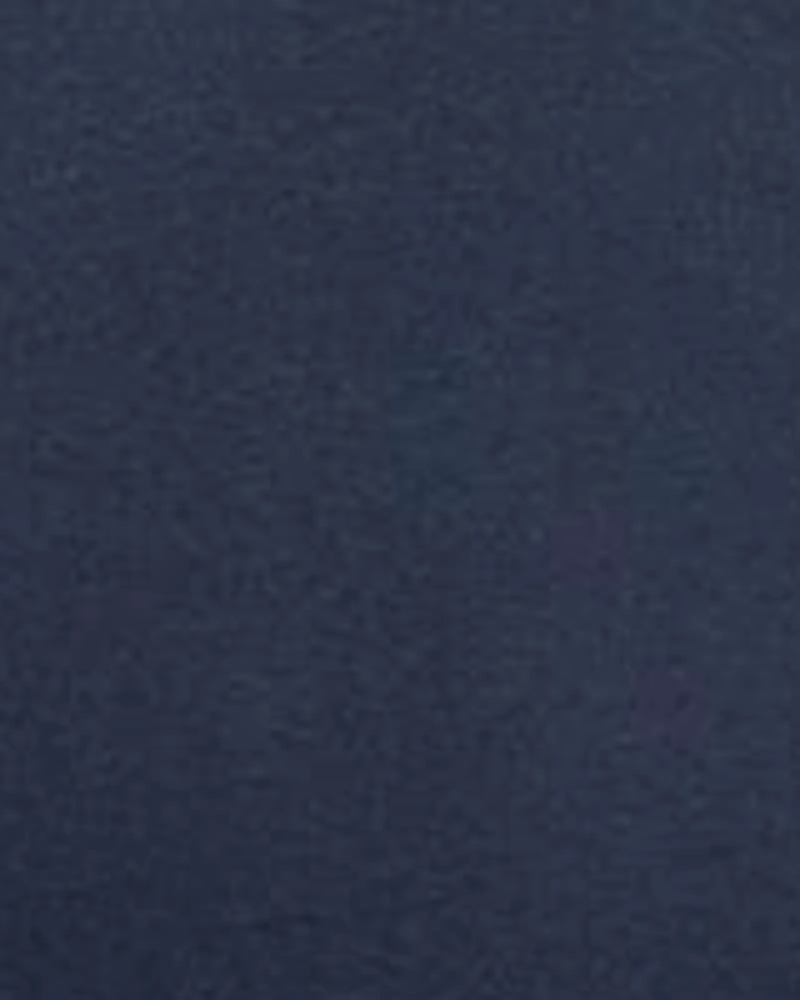 Costa Del Sol Tee | Navy